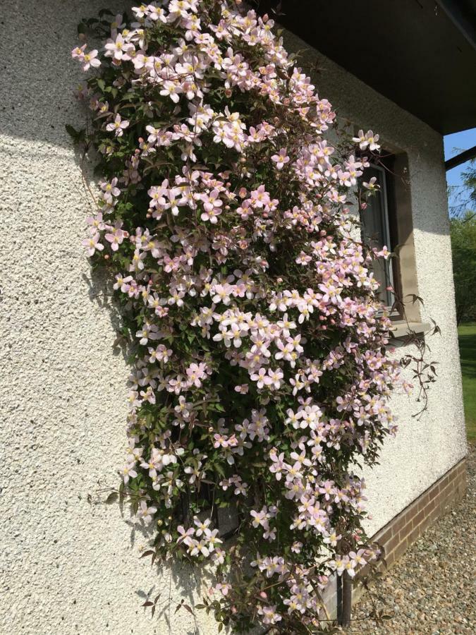 Heronlea Cottage Dunoon Eksteriør bilde